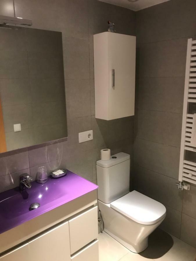 Apartaments Ca L'Albert Pobla de Segur Eksteriør bilde